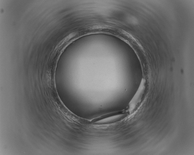 X0000073730825200608241254