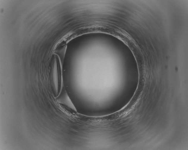 X0000073730826200608241254