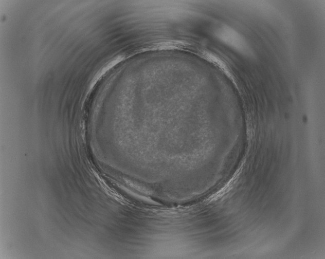 X0000073730827200608241254