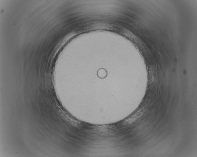 X0000073730828200608241255