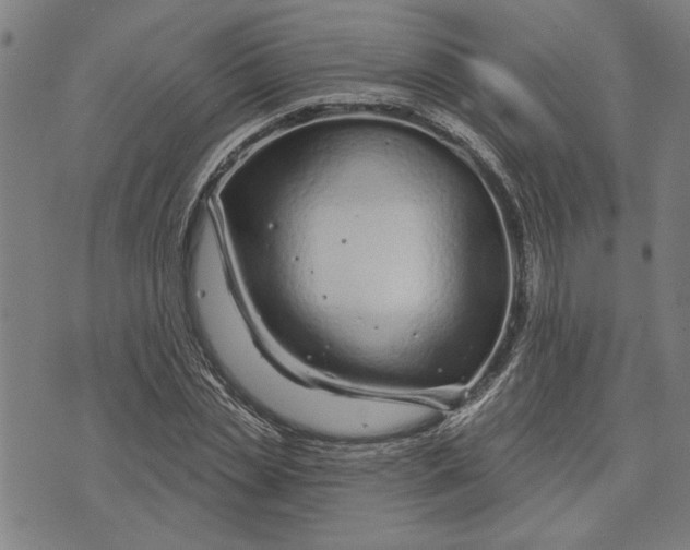 X0000073730829200608241255