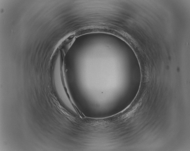 X0000073730830200608241255