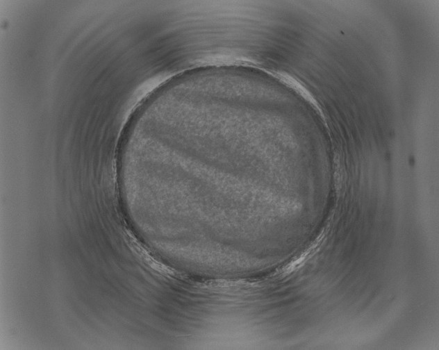 X0000073730831200608241255