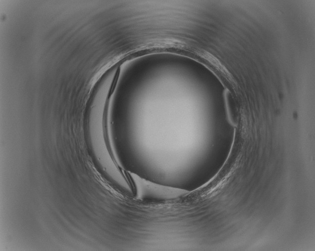 X0000073730834200608241255