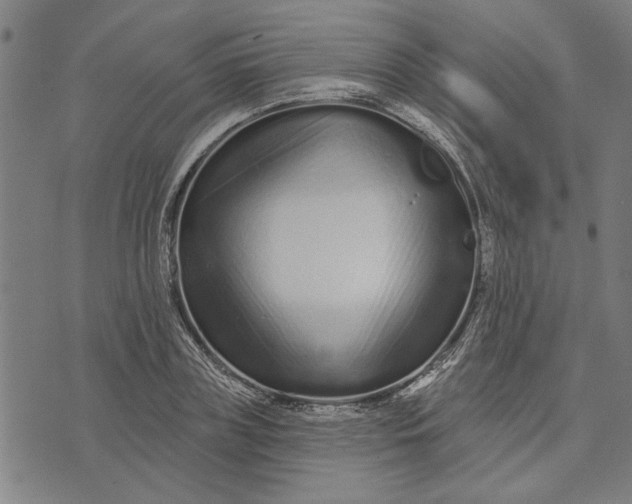 X0000073730835200608241255