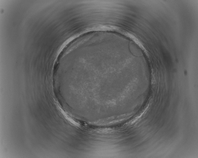 X0000073730837200608241255