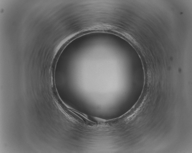 X0000073730838200608241255