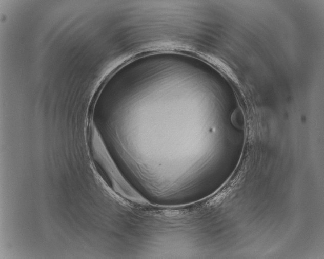 X0000073730839200608241255