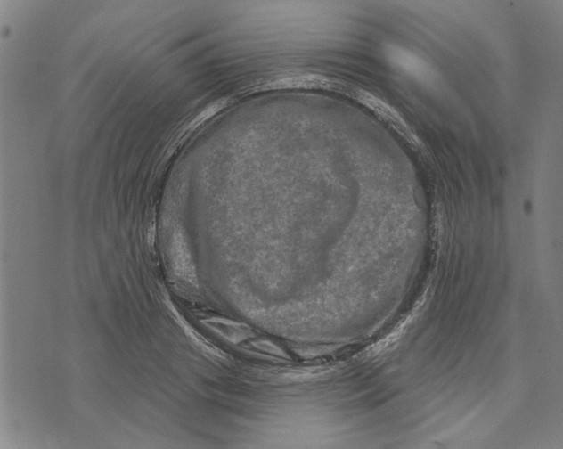 X0000073730841200608241255