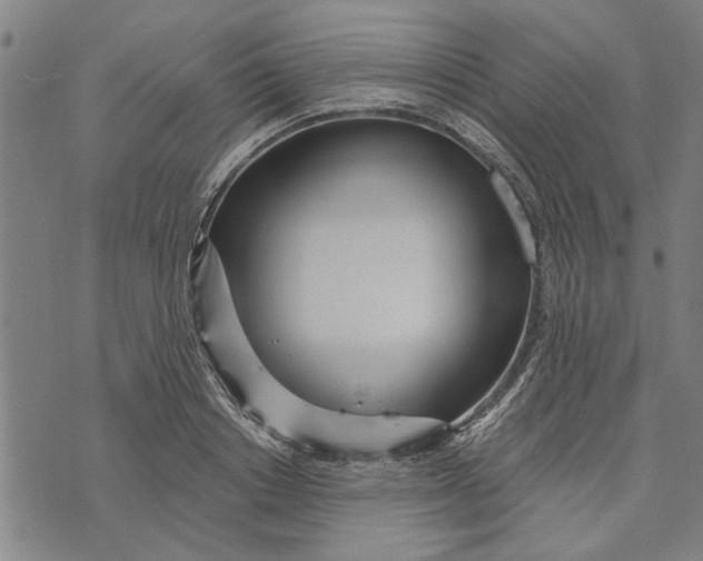 X0000073730842200608241255