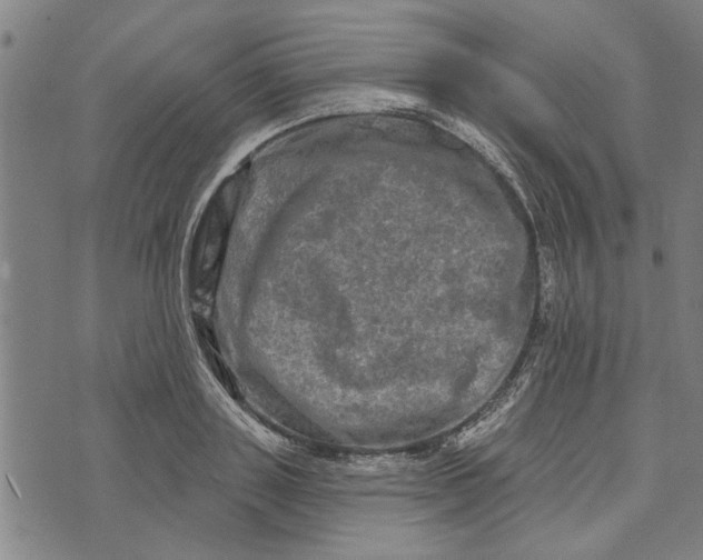 X0000073730843200608241255