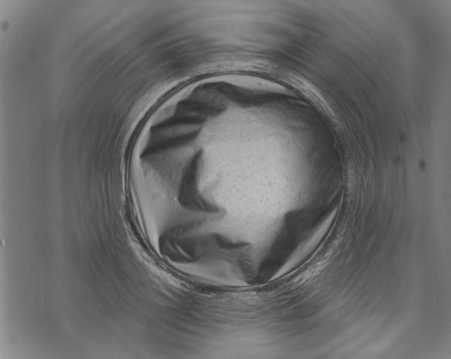 X0000073730844200608241255