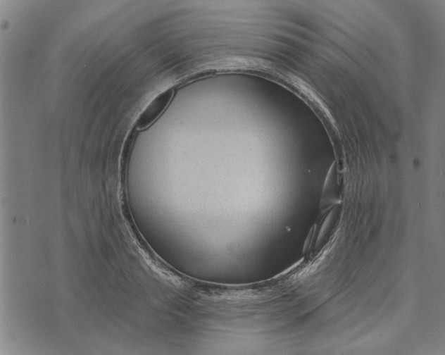 X0000073730845200608241255