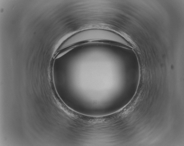 X0000073730846200608241255