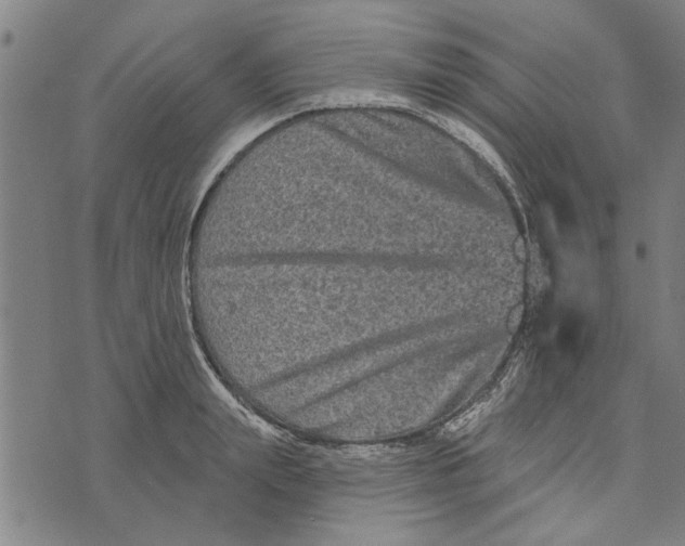 X0000073730847200608241255