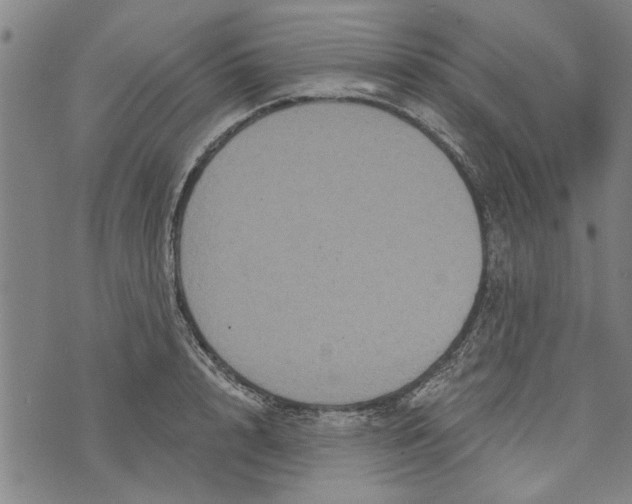 X0000073730848200608241255