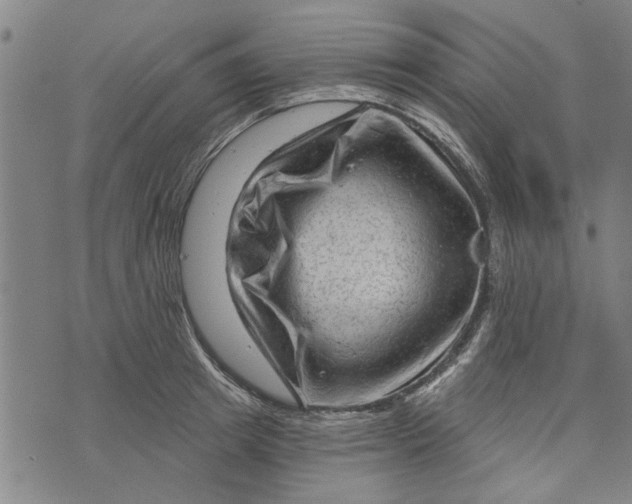 X0000073730849200608241255