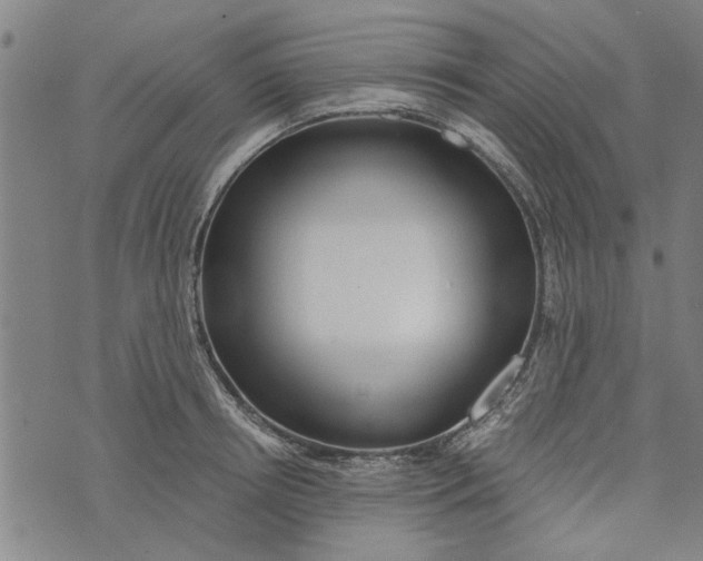 X0000073730850200608241255