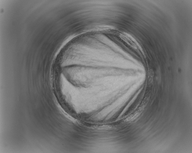 X0000073730851200608241255