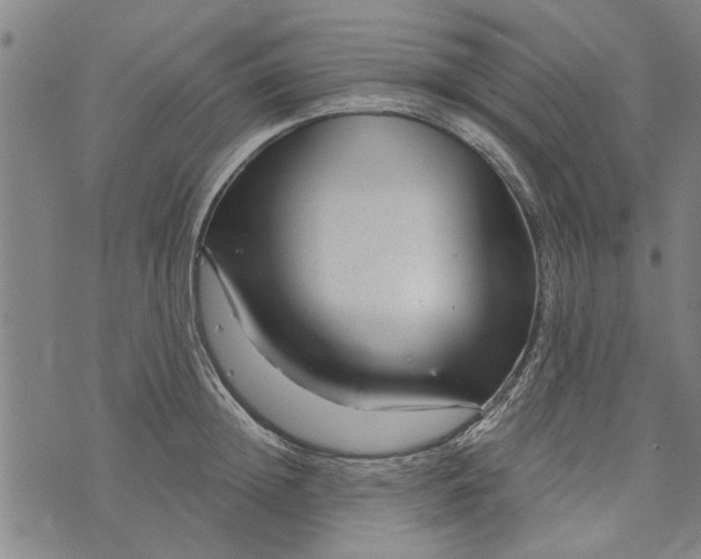 X0000073730852200608241255