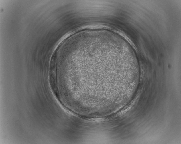 X0000073730853200608241255