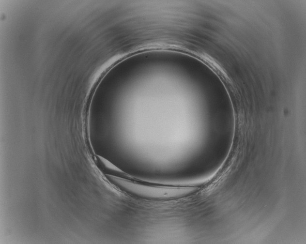 X0000073730854200608241255