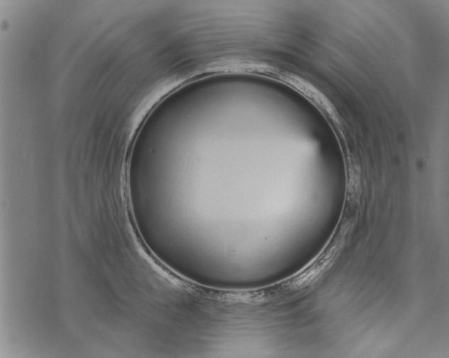 X0000073730855200608241255