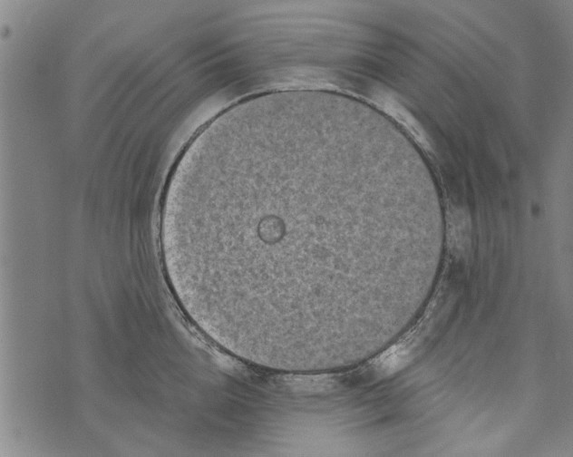 X0000073730856200608241255