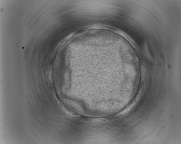 X0000073730857200608241255