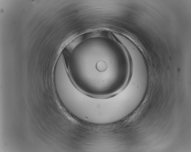 X0000073730858200608241255