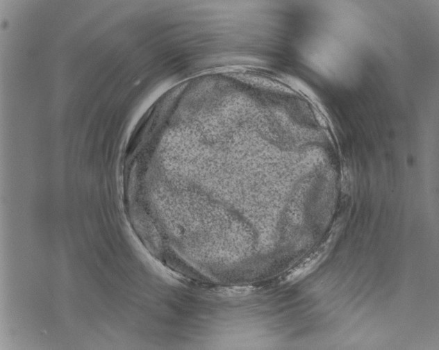 X0000073730859200608241255