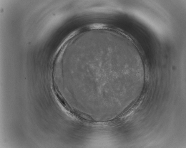 X0000073730861200608241255