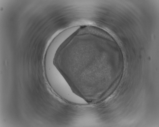 X0000073730864200608241255