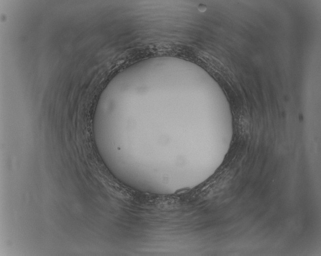 X0000073730865200608241254