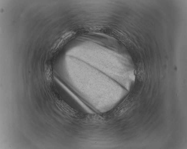 X0000073730866200608241254