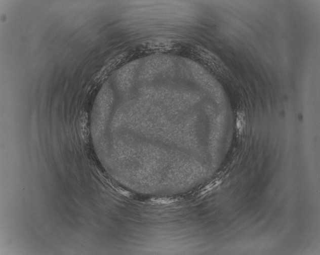 X0000073730867200608241254