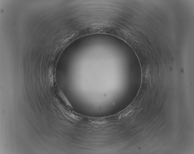 X0000073730868200608241254