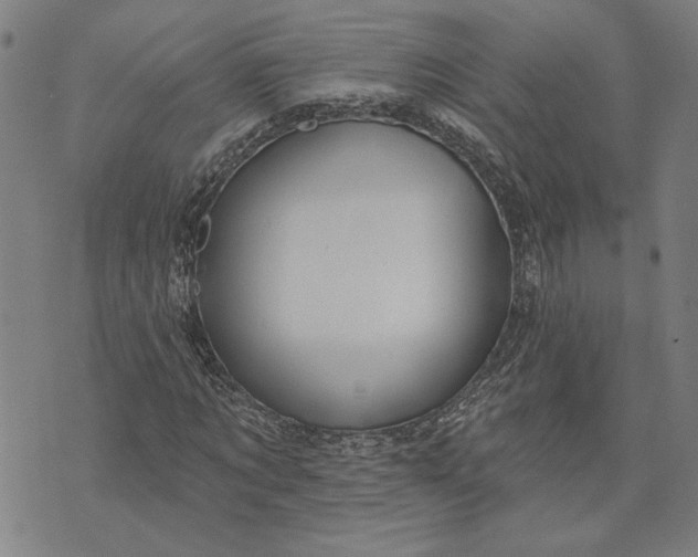 X0000073730869200608241254