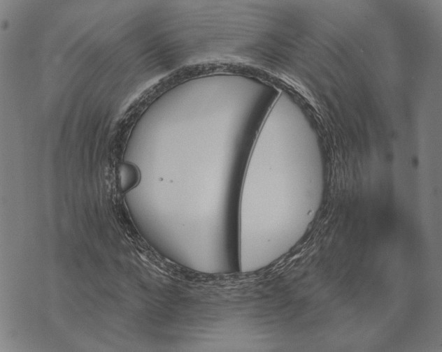 X0000073730872200608241254