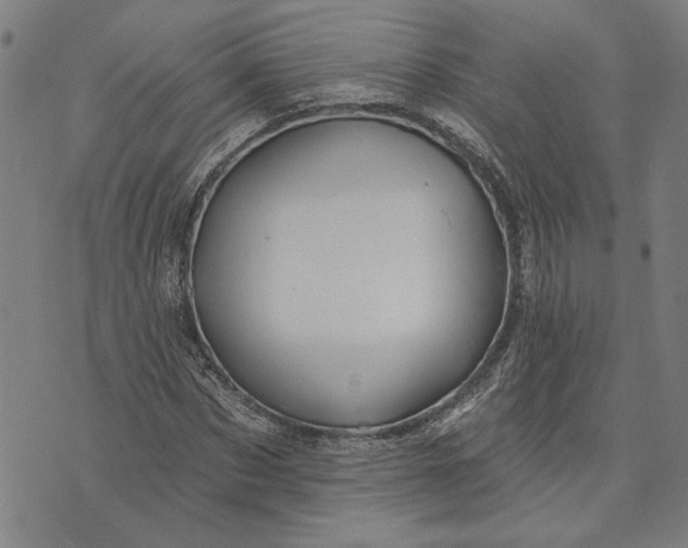 X0000073730873200608241254