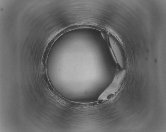 X0000073730876200608241254