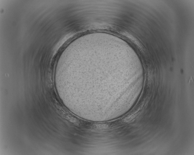 X0000073730878200608241254