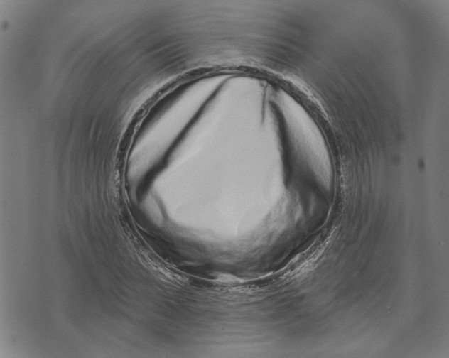 X0000073730879200608241254