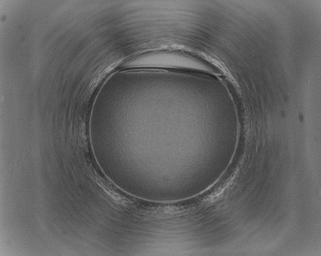 X0000073730881200608241254