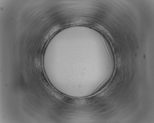 X0000073730882200608241254