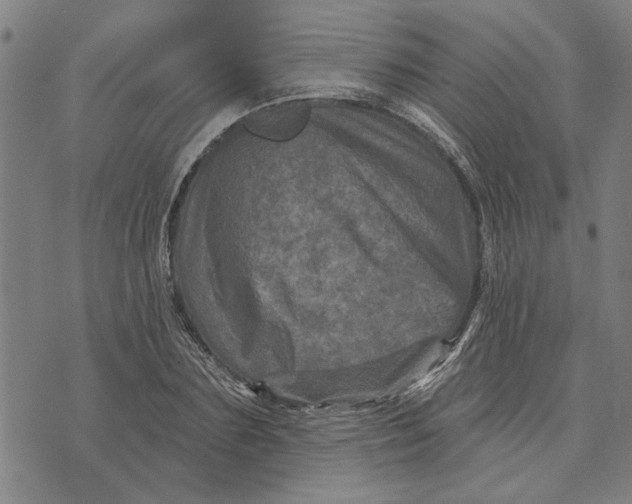 X0000073730883200608241254