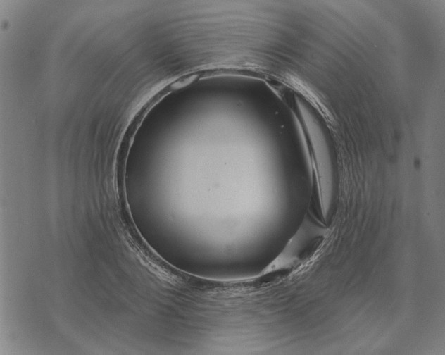 X0000073730884200608241254