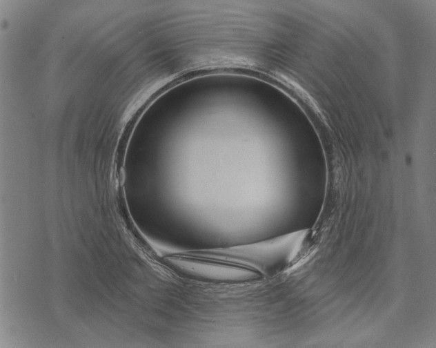 X0000073730885200608241254