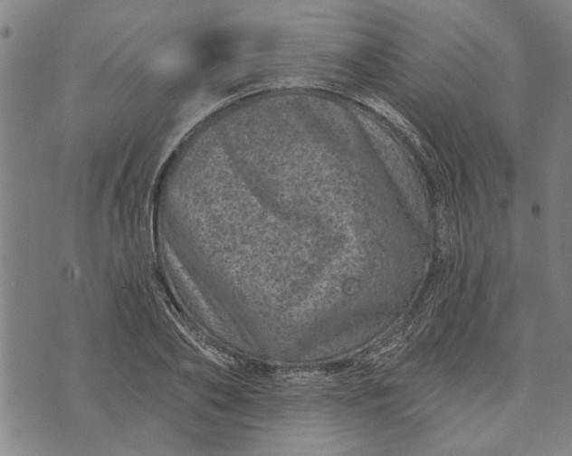 X0000073730886200608241254