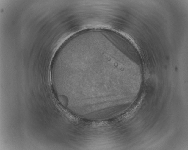 X0000073730887200608241254